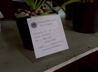 ลงพื้นที่ศึกษาแนวทางการจัดงานประกวดกล้วยไม้ของสมาคมพฤกษชาติแห่งประเทศไทย ในพระบรมราชูปถัมภ์ ณ บางกอกฟลาวเวอร์ เซนเตอร์ เขตหนองแขม กรุงเทพมหานคร ... พารามิเตอร์รูปภาพ 2